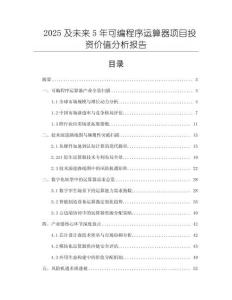 2025及未來5年可編程序運算器項目投資價值分析報告