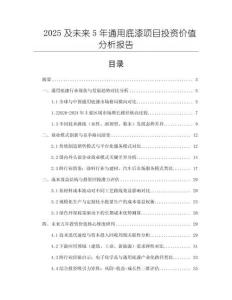 2025及未來5年通用底漆項目投資價值分析報告