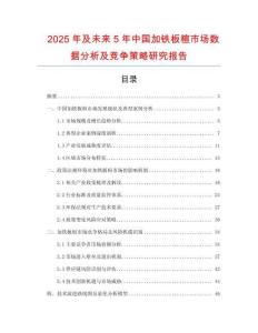 2025年及未來5年中國加鐵板楦市場數據分析及競爭策略研究報告