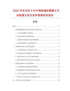 2025年及未來5年中國眼鏡蛇攝像頭市場數(shù)據(jù)分析及競爭策略研究報告