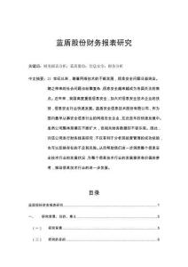 藍盾股份財務報表研究