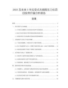 2025及未來5年應(yīng)變式無側(cè)限壓力儀項目投資價值分析報告