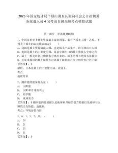 2025年国家统计局平顶山调查队面向社会公开招聘劳务派遣人员4名考前自测高频考点模拟试题（含答案详解