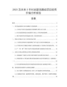 2025及未來5年襯巖旋流器組項目投資價值分析報告