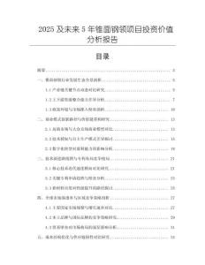 2025及未來5年錐面鋼領(lǐng)項目投資價值分析報告