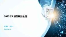 2025年1 眼部解剖生理