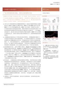 小核酸行業(yè)深度報告——產(chǎn)業(yè)多維度迎來突破，國內(nèi)企業(yè)優(yōu)勢盡顯-