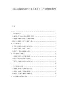 2025金屬極板燃料電池降本路徑與產(chǎn)業(yè)鏈協(xié)同發(fā)展