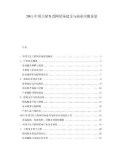 2025中國衛(wèi)星互聯(lián)網(wǎng)星座建設(shè)與商業(yè)應(yīng)用前景