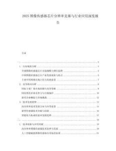 2025圖像傳感器芯片分辨率競賽與行業應用深度報告