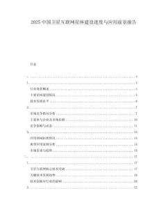 2025中國衛(wèi)星互聯(lián)網(wǎng)星座建設(shè)進度與應(yīng)用前景報告