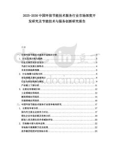 2025-2030中國(guó)環(huán)保節(jié)能技術(shù)服務(wù)行業(yè)市場(chǎng)深度開發(fā)研究及節(jié)能技術(shù)與服務(wù)創(chuàng)新研究報(bào)告