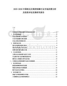 2025-2030中國(guó)核反應(yīng)堆控制棒行業(yè)市場(chǎng)供需分析及投資評(píng)估發(fā)展研究報(bào)告
