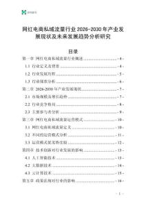 網(wǎng)紅電商私域流量行業(yè)2026-2030年產(chǎn)業(yè)發(fā)展現(xiàn)狀及未來發(fā)展趨勢分析研究