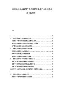 2025半導體材料國產替代進程及晶圓廠合作機會戰略分析報告