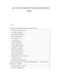 2025-2030中國(guó)納米材料產(chǎn)業(yè)化現(xiàn)狀及技術(shù)壁壘分析報(bào)告