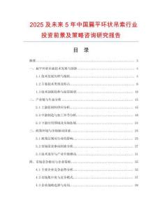 2025及未來5年中國(guó)扁平環(huán)狀吊索行業(yè)投資前景及策略咨詢研究報(bào)告