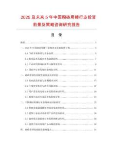 2025及未來5年中國砌磚用錘行業(yè)投資前景及策略咨詢研究報告