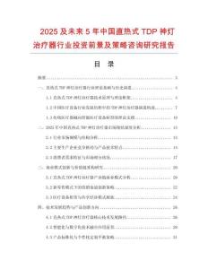 2025及未來5年中國直熱式TDP神燈治療器行業(yè)投資前景及策略咨詢研究報告