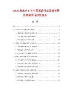 2025及未來5年中國蔥段行業投資前景及策略咨詢研究報告