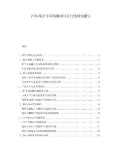 2025年護(hù)手雙鉤鐮項(xiàng)目可行性研究報(bào)告