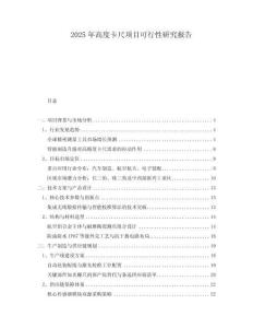 2025年高度卡尺項目可行性研究報告