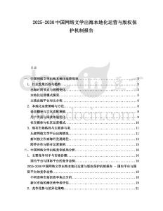 2025-2030中國網絡文學出海本地化運營與版權保護機制報告