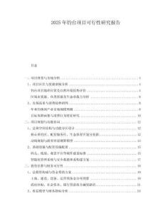 2025年釣臺項(xiàng)目可行性研究報(bào)告