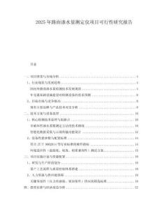 2025年路面滲水量測定儀項目可行性研究報告