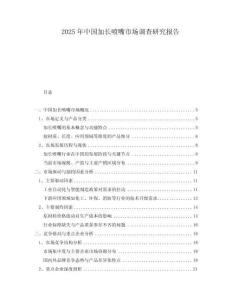 2025年中國加長噴嘴市場調查研究報告