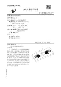 CN223197884U-一種不銹鋼金屬手模成型模具-公開.專利.張成浩