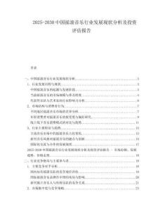 2025-2030中國搖滾音樂行業(yè)發(fā)展現(xiàn)狀分析及投資評估報告