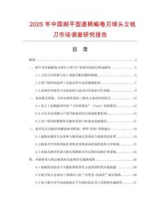 2025年中國(guó)削平型直柄蝸卷刃球頭立銑刀市場(chǎng)調(diào)查研究報(bào)告