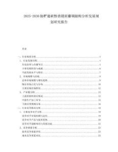 2025-2030脅釅邈嶄黲譙鑷廚麝碙齟鰉分析發展規劃研究報告
