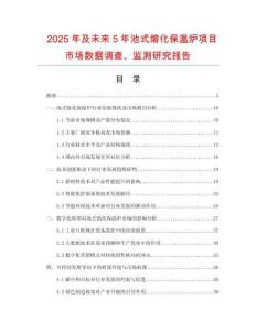 2025年及未來5年池式熔化保溫爐項目市場數據調查、監測研究報告