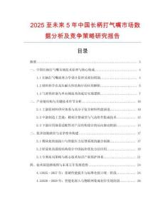 2025至未來5年中國長柄打氣嘴市場數據分析及競爭策略研究報告