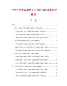 2025年中國電熱上火扒爐市場調(diào)查研究報告