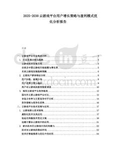 2025-2030云游戏平台用户增长策略与盈利模式优化分析报告