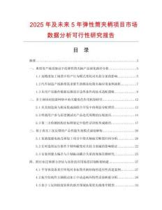 2025年及未來5年彈性筒夾柄項目市場數(shù)據(jù)分析可行性研究報告