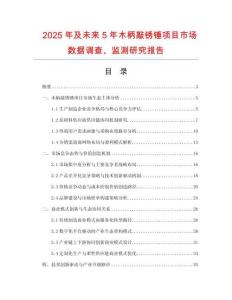 2025年及未來(lái)5年木柄敲銹錘項(xiàng)目市場(chǎng)數(shù)據(jù)調(diào)查、監(jiān)測(cè)研究報(bào)告
