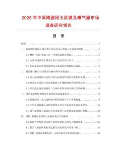 2025年中國陶瓷剛玉質微孔曝氣器市場調查研究報告
