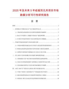 2025年及未來5年紙板雙孔夾項(xiàng)目市場數(shù)據(jù)分析可行性研究報(bào)告