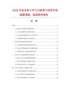 2025年及未來(lái)5年三刃斜角刀項(xiàng)目市場(chǎng)數(shù)據(jù)調(diào)查、監(jiān)測(cè)研究報(bào)告