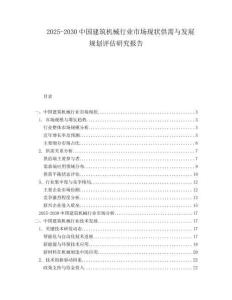 2025-2030中國建筑機(jī)械行業(yè)市場現(xiàn)狀供需與發(fā)展規(guī)劃評估研究報告
