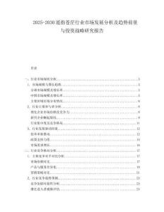 2025-2030遙指蒼茫行業市場發展分析及趨勢前景與投資戰略研究報告