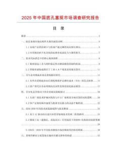2025年中國底孔塞規(guī)市場調(diào)查研究報告
