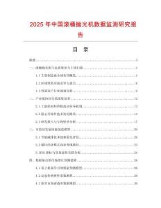 2025年中國(guó)滾桶拋光機(jī)數(shù)據(jù)監(jiān)測(cè)研究報(bào)告