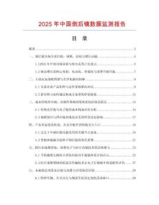 2025年中國倒后鏡數(shù)據(jù)監(jiān)測報告
