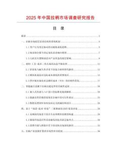 2025年中國拉柄市場調(diào)查研究報(bào)告