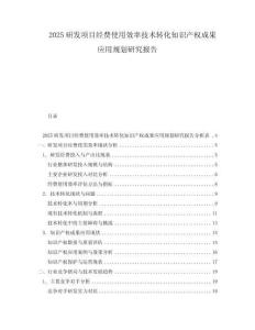 2025研發項目經費使用效率技術轉化知識產權成果應用規劃研究報告